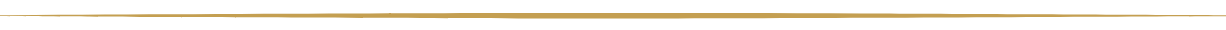Minimalist design with two thin horizontal lines on a white background.